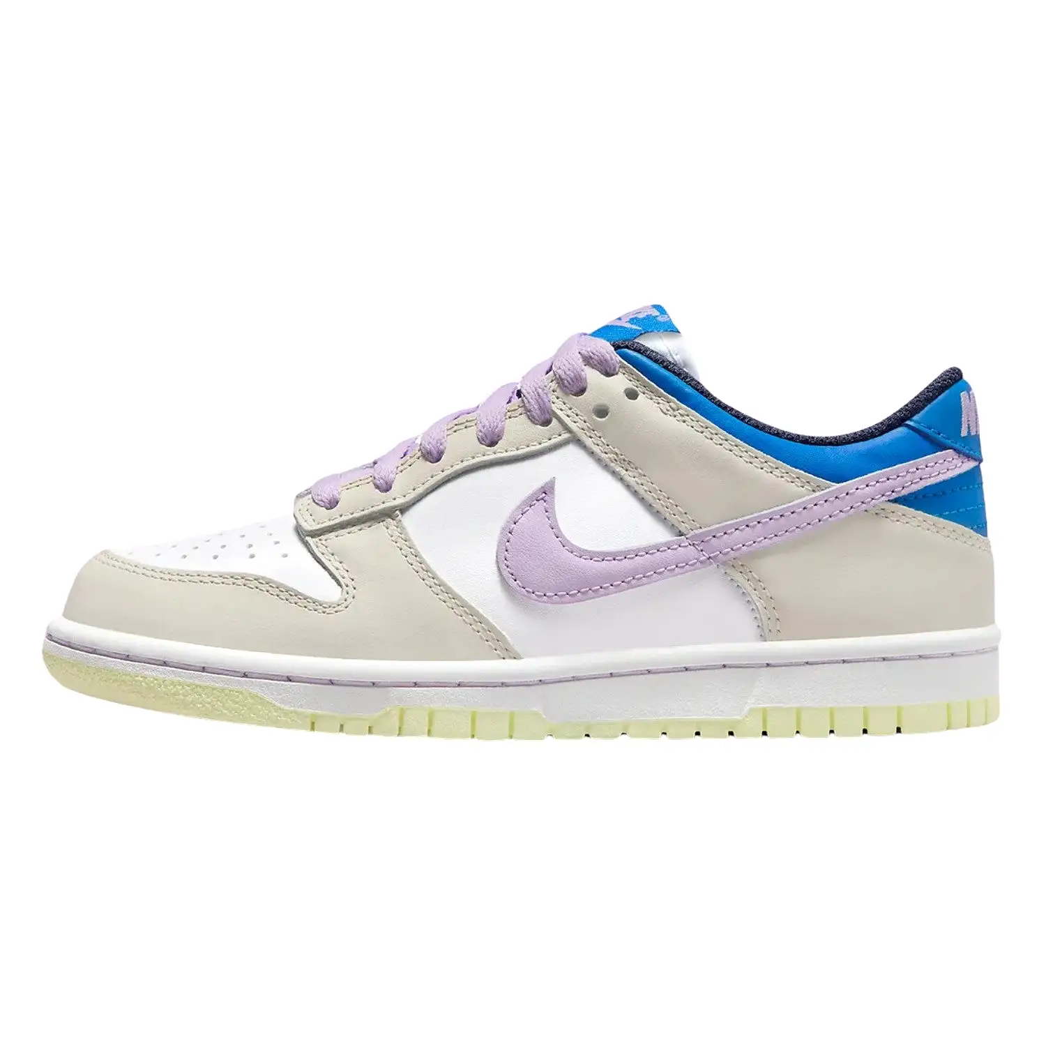 Nike Dunk Low (Gs) Big Kids Style : Fb9109