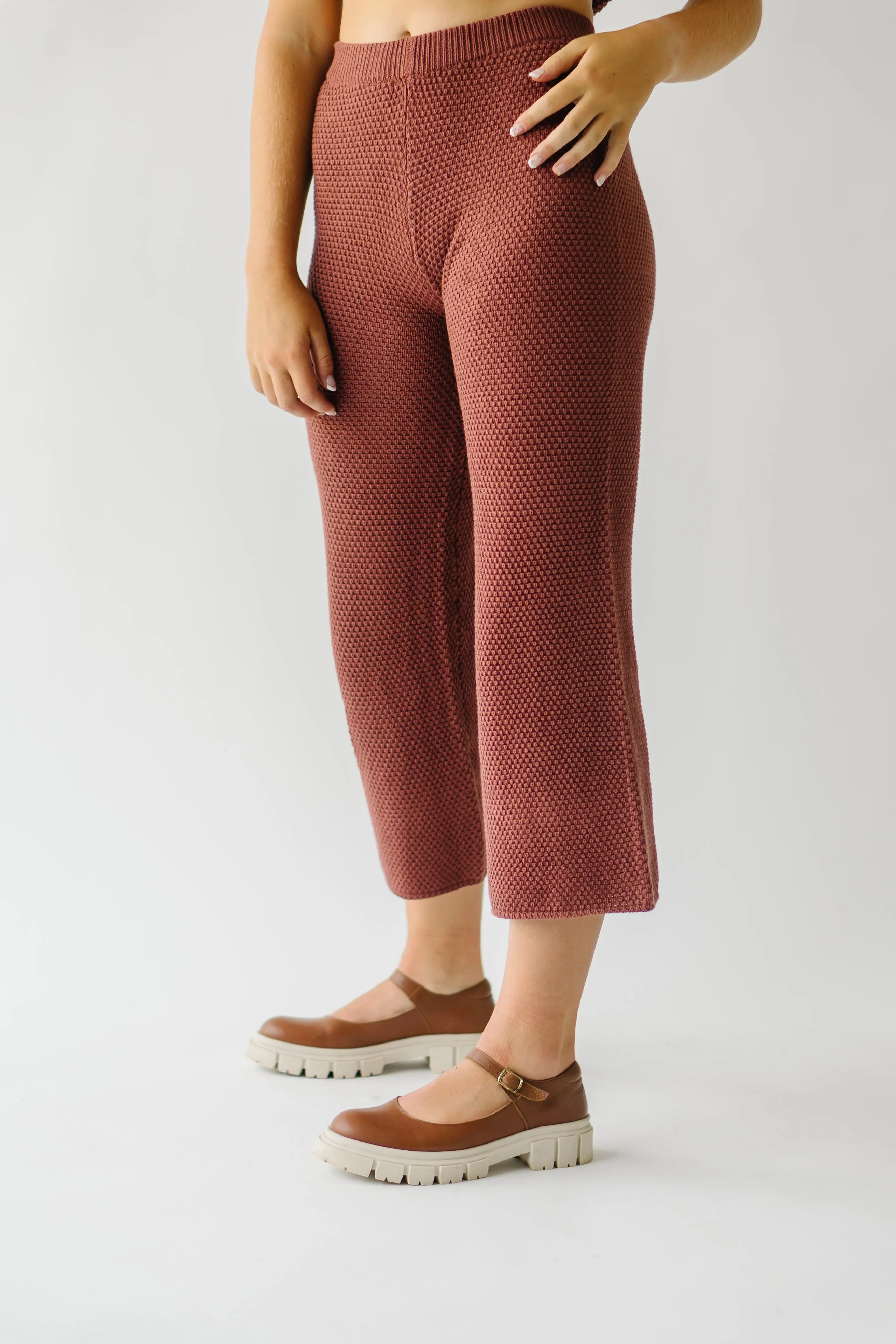 The Roxbury Textured Sweater Pant in Rust